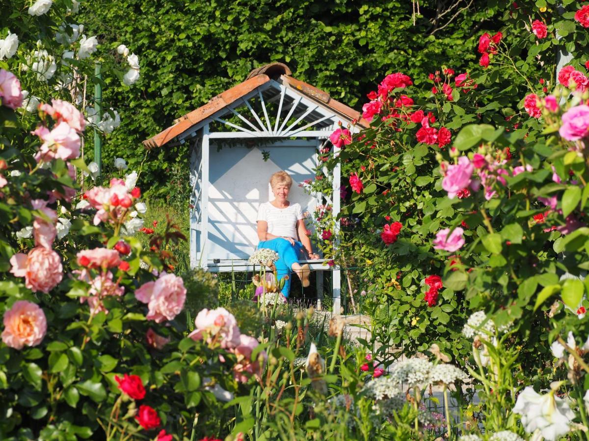 Casa Del Roseto Bed & Breakfast Belveglio Exterior photo