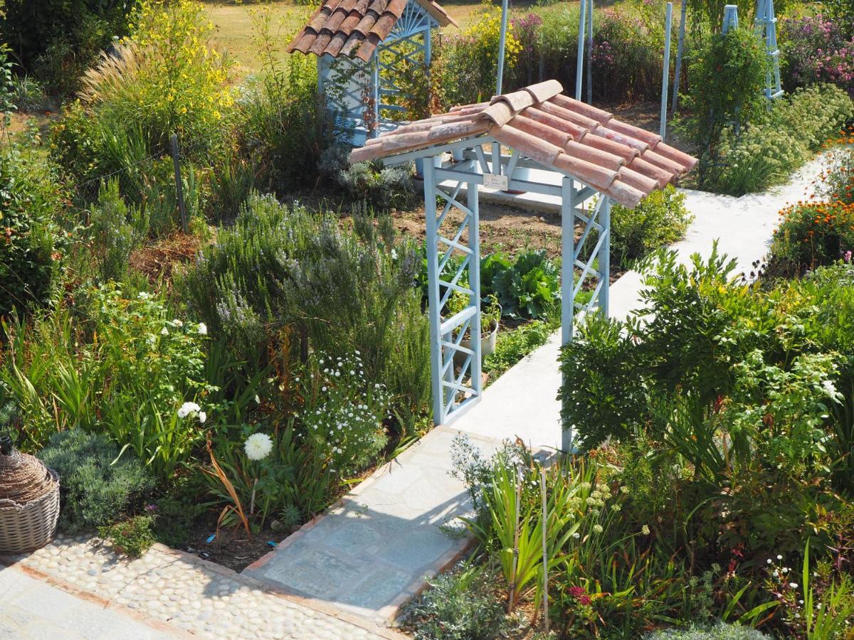 Casa Del Roseto Bed & Breakfast Belveglio Exterior photo