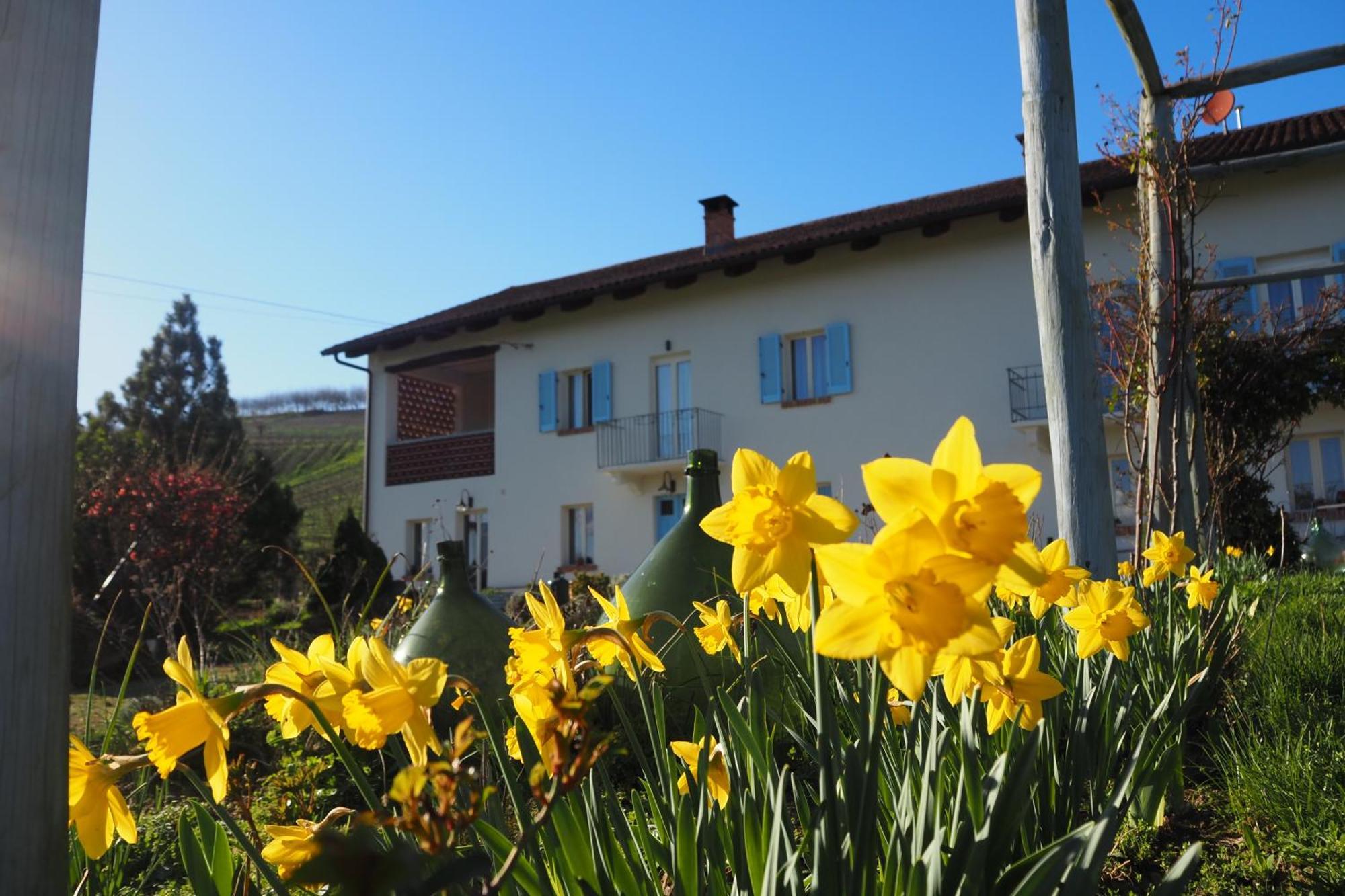 Casa Del Roseto Bed & Breakfast Belveglio Exterior photo